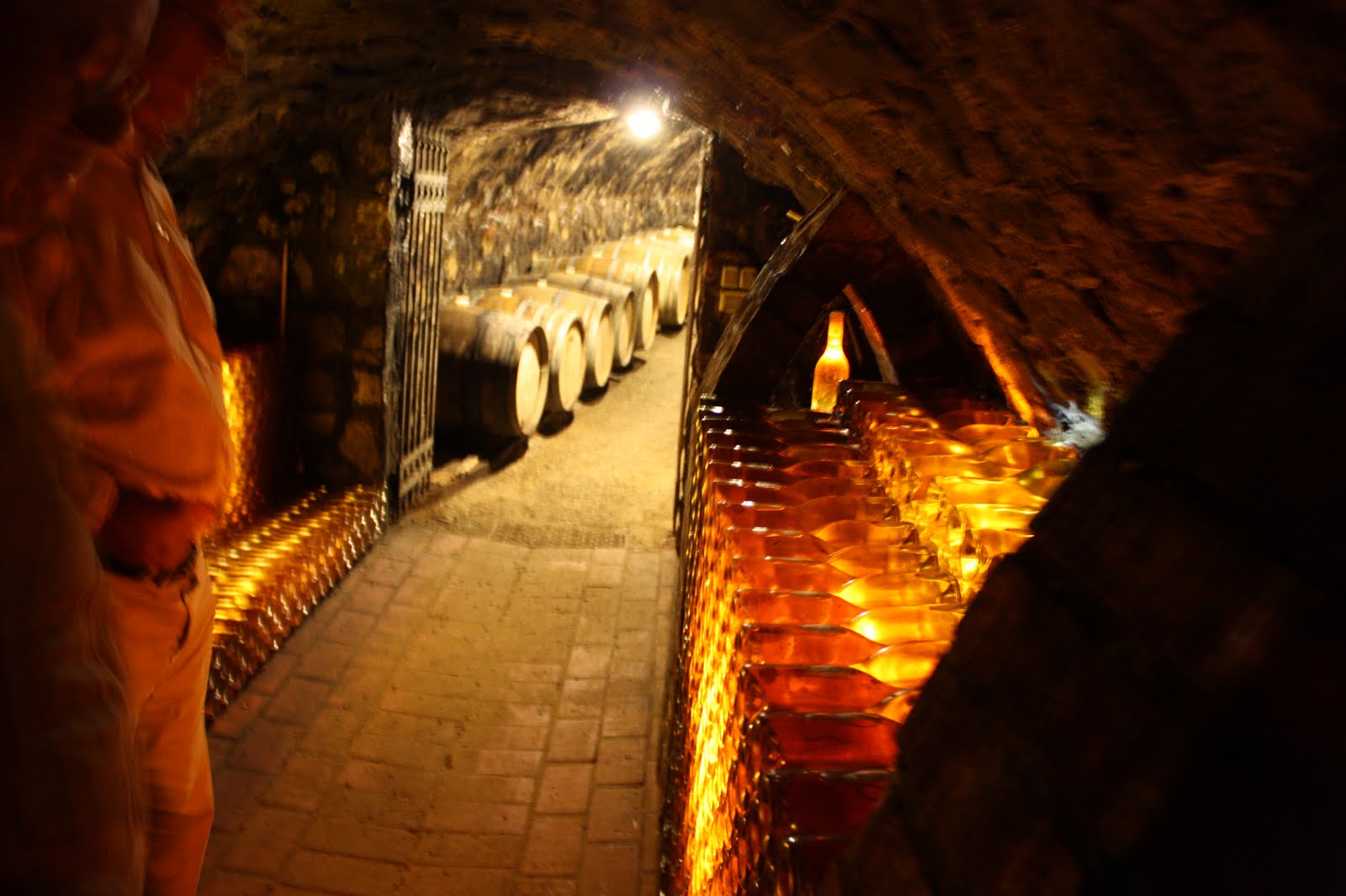 Studiereis Hongarije (3): Onze harten gaan sneller kloppen bij Dobogó in Tokaj