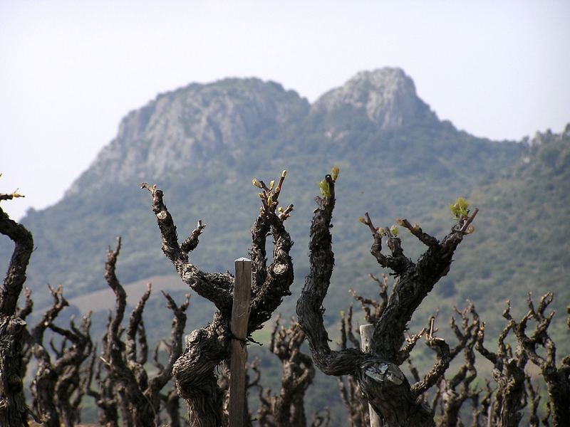 Rondje door de Languedoc