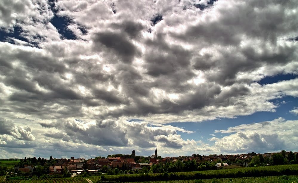 Grosses Gewächs uit Rheinhessen imponeren