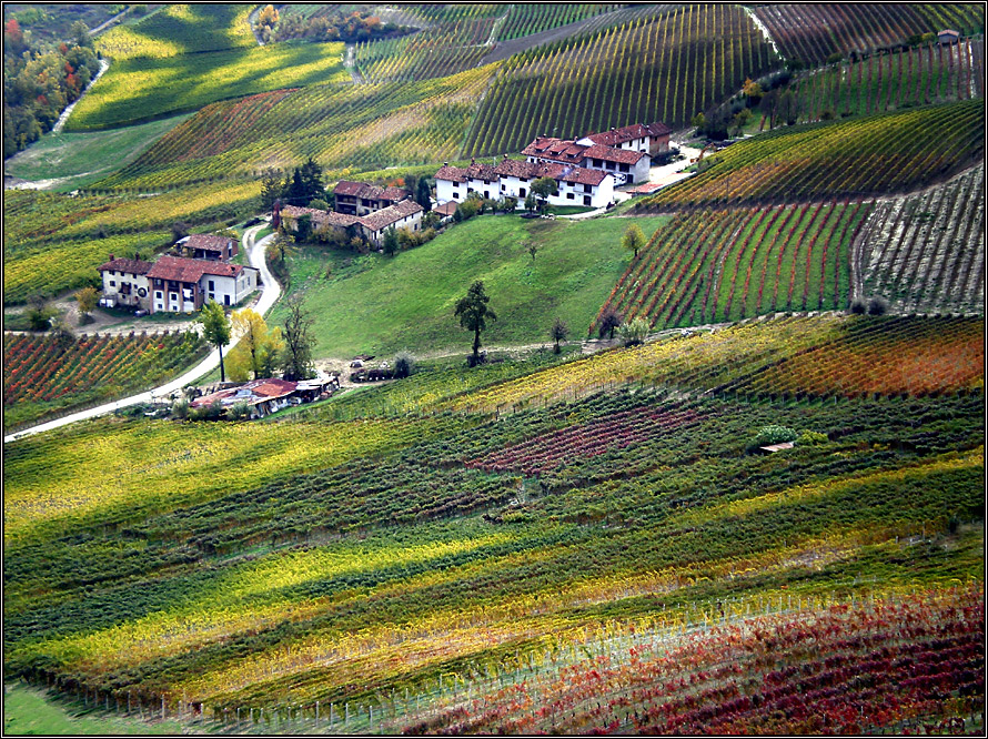 Vitamine B-10 proeverij met Nebbiolo, Barbaresco en Barolo: kunnen we geen cabaretgroepje oprichten?