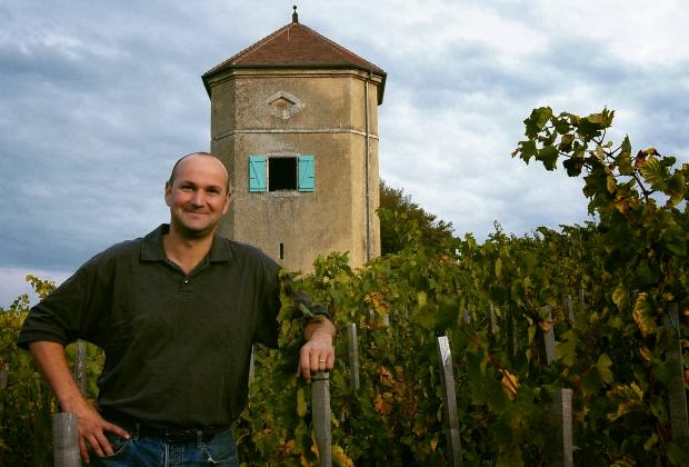 Arbois en Jura: eigenwijze druiven, producenten en wijnen