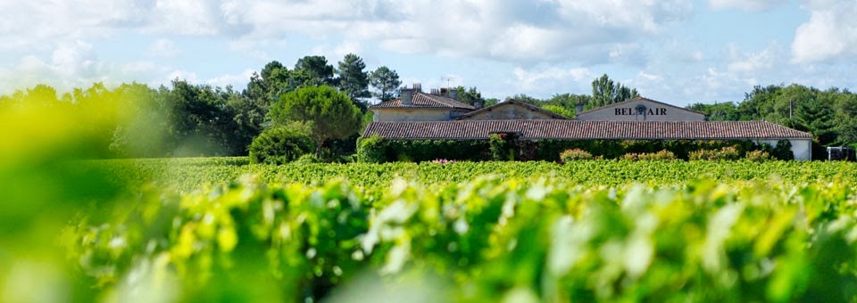 Saint Emilion en piraten, heel leerzaam