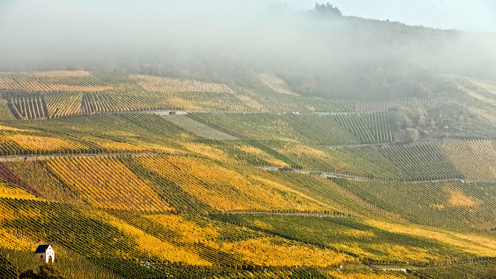 Riesling Kabinett en Spätlese, eerst het zuur, dan het zoet (en vice versa)