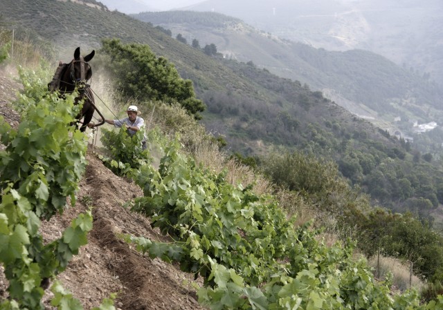 Waarzo? Bierzo!