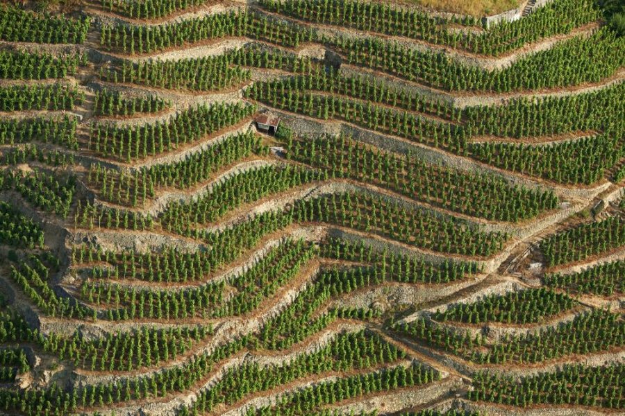 Rijke Rhônes maken indruk – verrassende combinaties