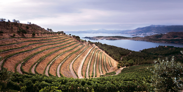 Niet alledaagse Spaanse wijnen. Vooral Castillo Perelada uit Emporda maakt indruk.