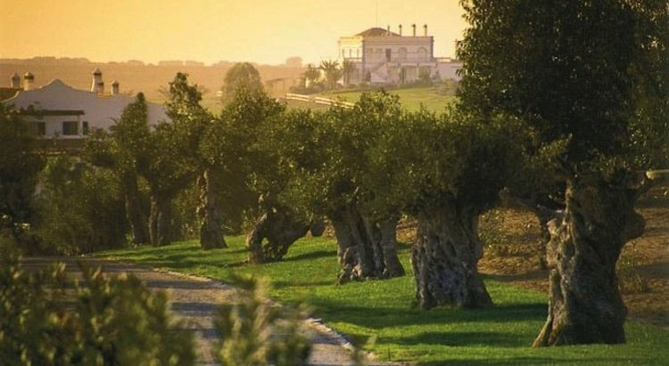 Portugal trilogie III - Autochtone druiven bieden boeiende wijnen in Zuid Portugal