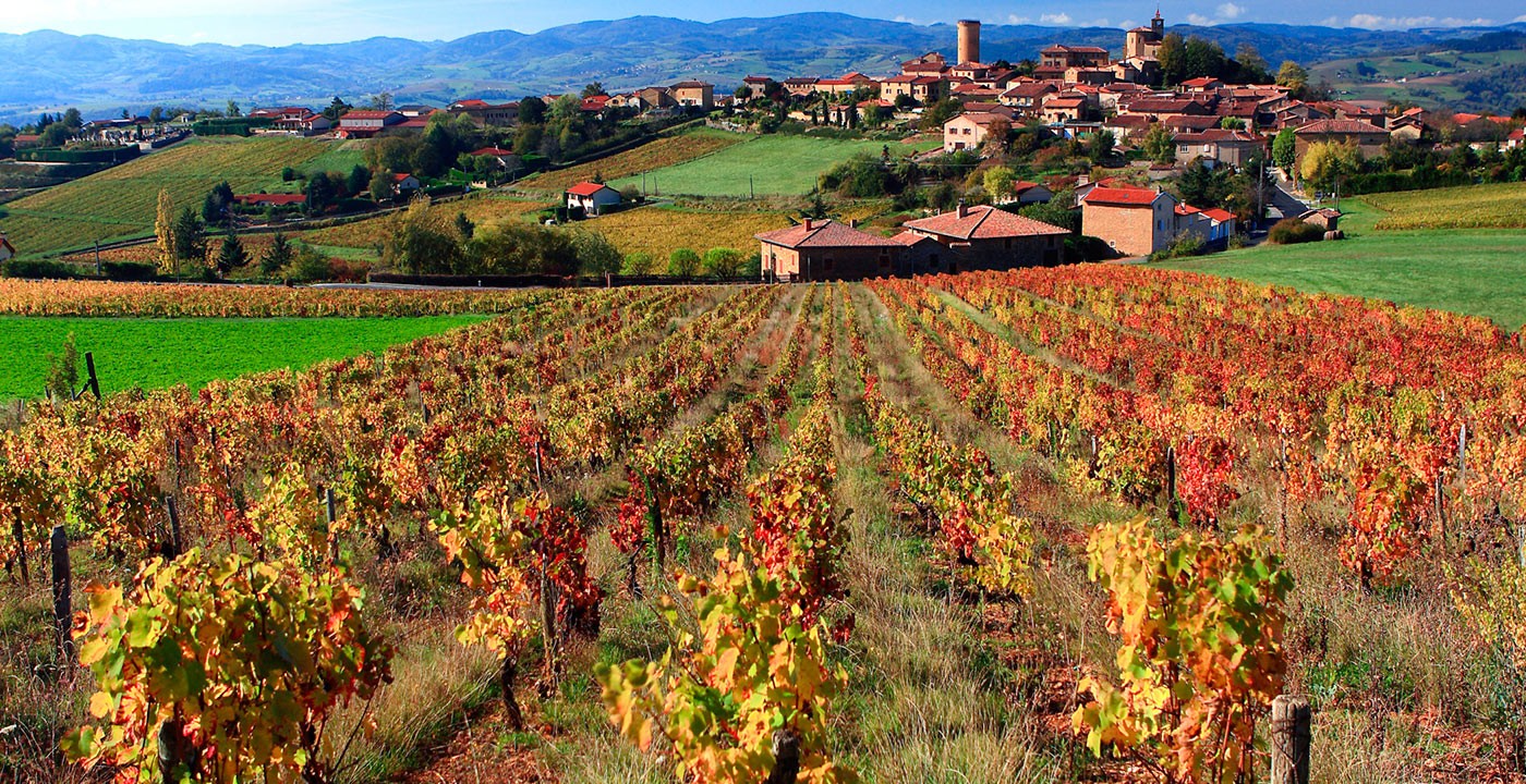 Crus de Beaujolais: proeven we wel dezelfde wijn?