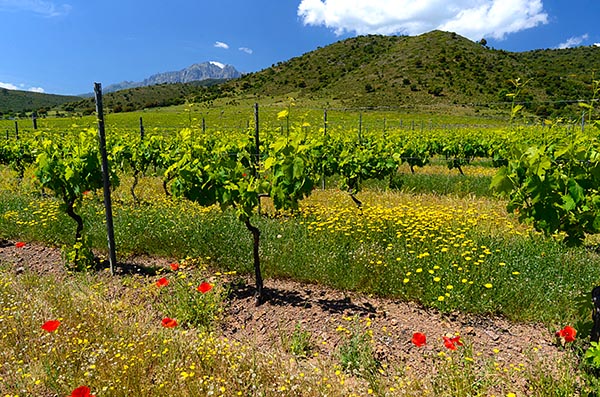 Corsica en Sardinië, ontdekkingsreizen-in-het-glas