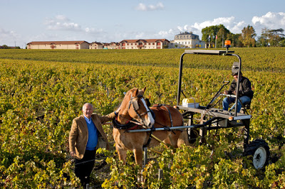 Drie stijlen Bordeaux, om met vrienden van te genieten