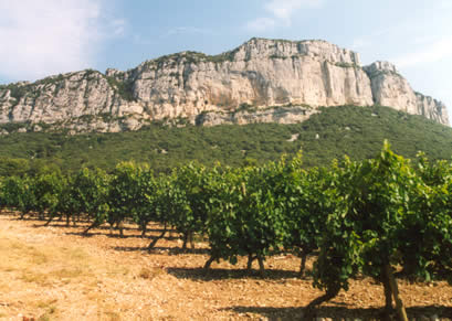 Languedoc diversiteit doorgeproefd
