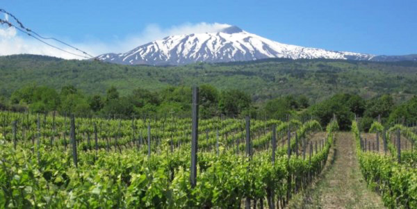 Etna wijnen fascineren met grote variëteit